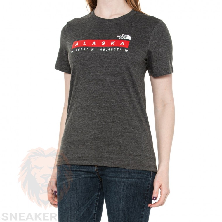 Футболка The North Face Alaska logo t-shirt